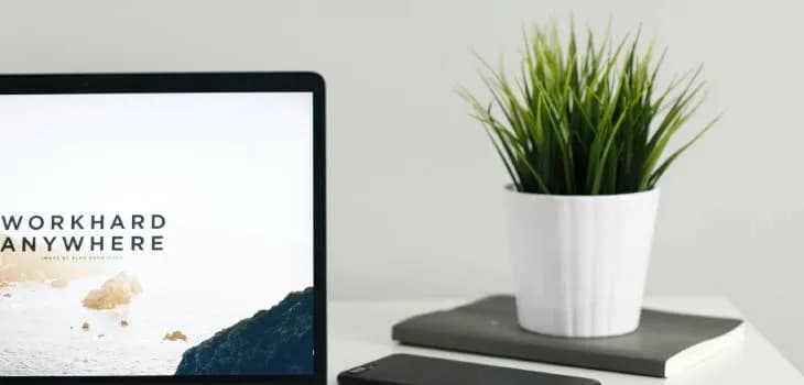 Staż z PUP: Jak dostać, ile zarobisz i czy dostaniesz pracę?